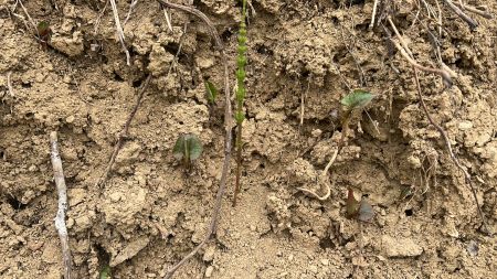 微信圖片_20250423162456