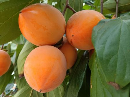 微信圖片_20251021141240