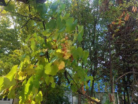 微信圖片_20250707110057